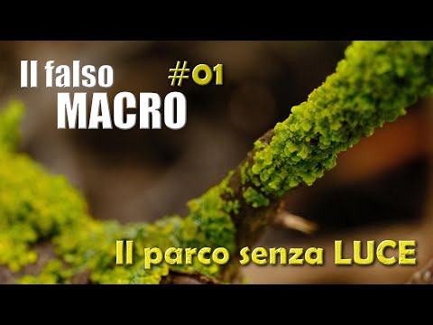 IL FALSO MACRO ep 1- Il parco senza sole