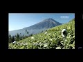 Iklan Rokok Djarum Coklat Anugerah Alam Indonesia 2014 Comeback Revisi 2022 Salah Rolol Phw