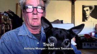 The Bottle Rockets "Dog" (Fan Version)