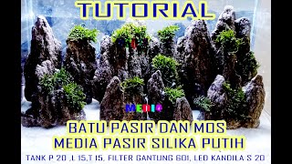 Aquascape Batu Pasir Pemula