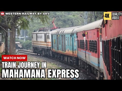 Vadodara To Ekta Nagar : Full Journey : 20904 Ekta Nagar Mahamana Express | WAP-5 | Indian Railways