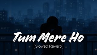 Tum Mere Ho Lofi || Slowed + Reverb || Hate Story IV || Jubin Nautiyal || Study Vibes