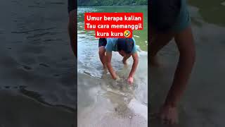 Download lagu Suara untuk memanggil kura kura.. mp3