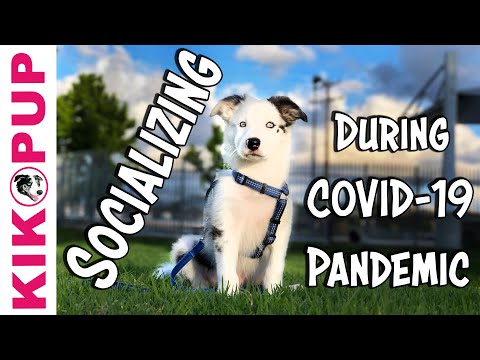 STOP UNWANTED behaviors with BACK UP