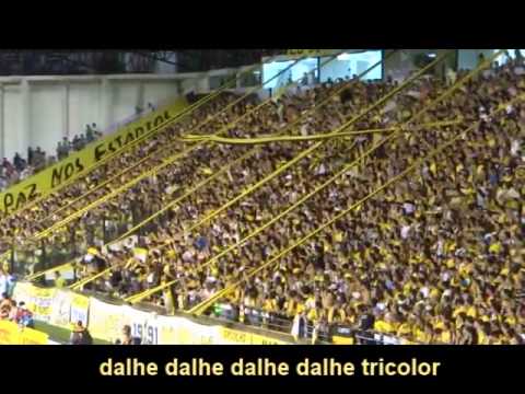 OsTigresRock - Somos do Time Carvoeiro