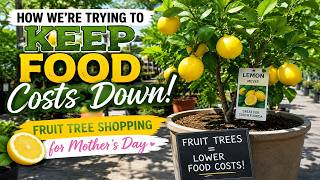🍋 How We’re Trying to Keep Food Costs Down  🪴Fruit Tree Shopping for Mother’s Day🩷
