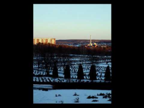 Arv & Miljö - Hur Allting Sjönk III [Release The Bats Records]