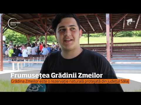 #100 de zile de vară. Grădina Zmeilor