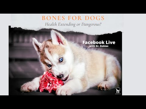 Raw Bones for Dogs — Benefits and Safety