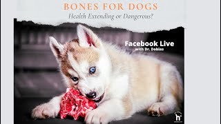 Raw Bones for Dogs β Benefits and Safety