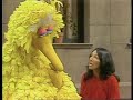 Sesame Street Questions Questions With Big Bird And Buffy
