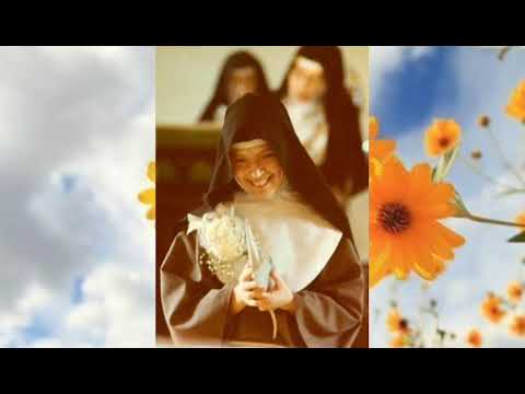 Quem Perde A Sua Vida A Encontrará video