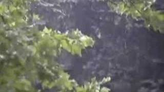 Zolof - Riding Trains In November