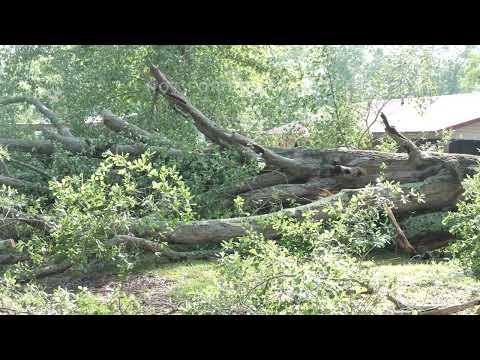 06-12-2023 Pleasant Hill, LA - Thunderstorm Damage - Roof Peeled - Trees Snapped