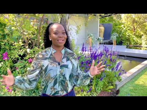 The Garden Venue Weddings - Virtual Tour