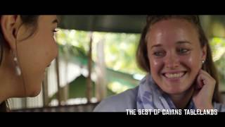 Billy Tea Safaris - The Best of the Cairns Tablelands