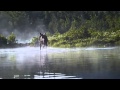 Moose In The Mist