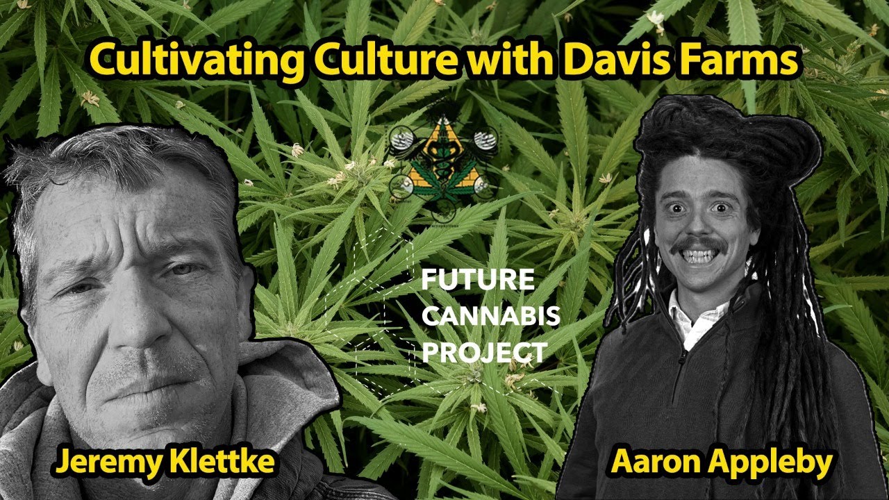 Cultivating Culture with Davis Farms