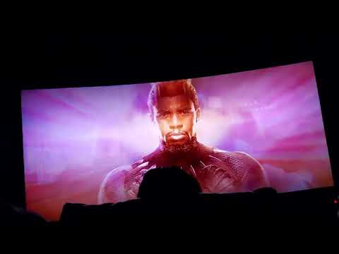Black Panther: Wakanda Forever Opening Night Audience Reaction - Marvel Titlecard - *SPOILERS*