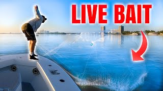 Catching Live Bait and WE go Fishing in South Florida