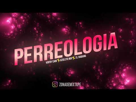 Perreologia - Kaydy Cain ✘ Uzielito Mix ✘ El Habano