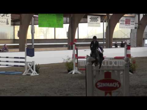 Catokia 6 Hallenspringturnier Barlo Bocholt 2015 16 01 2015 131