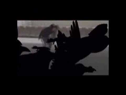 Swollen Members - Freak Fantastic