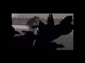 Swollen Members - Freak Fantastic