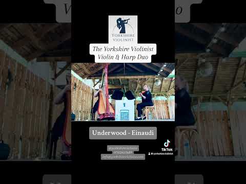 The Yorkshire Violinist Violin & Harp Duo - Showreel - Hazlewood Castle 18/08/2024