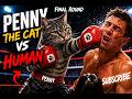 PENNY THE CAT Vs HUMAN The Funniest Boxing Match See Who Wins