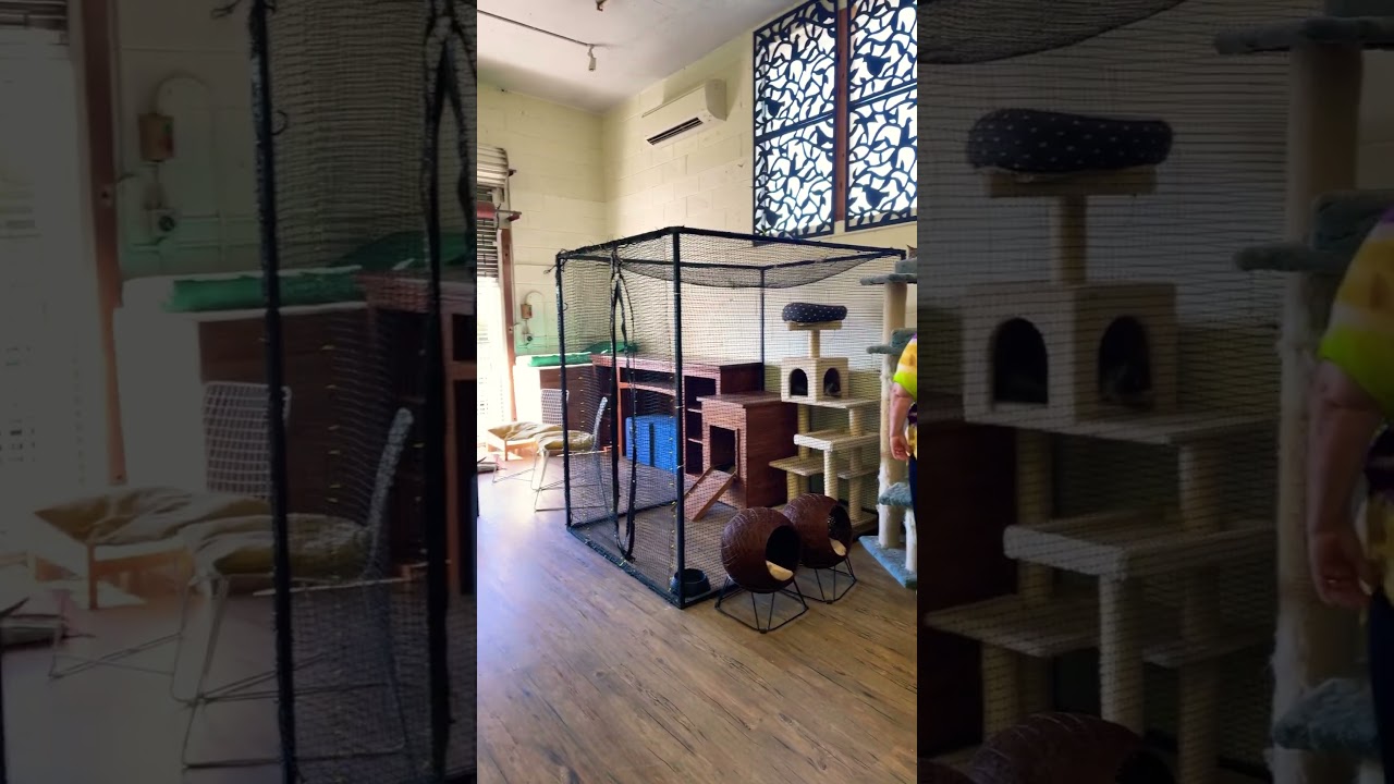 YouTube Short thumbnail