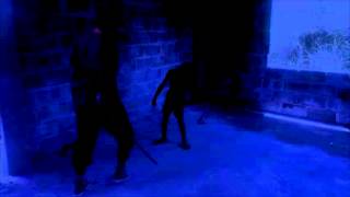 Flight of the Socouyant