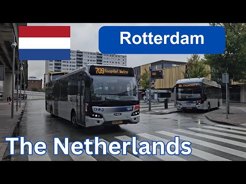 Trams, Buses and Metro in Rotterdam, The Netherlands🇳🇱 2024