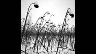 Brett Anderson - Clowns