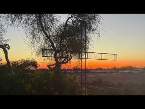 Walk with Jesus  Day 207 of 365