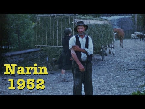 Narin, Pivka, Slovenia (1952)