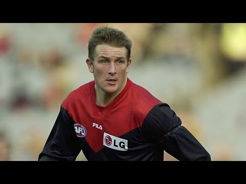 David Schwarz Highlights