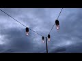 Cage The Elephant Social Cues Slowed Reverb