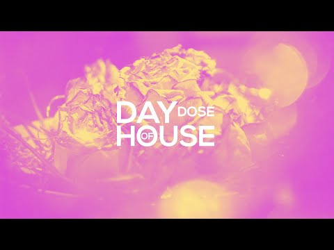 Austin Salter, Class Fools - Loverboy