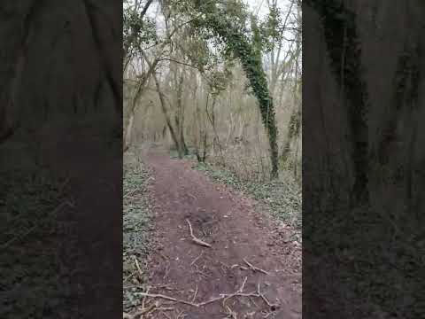 Black Shark 4 Pro video stabilisation 4k 60 fps