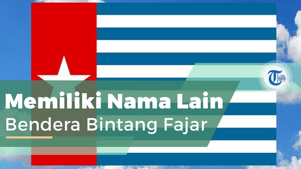 Bendera Bintang Kejora, atau disebut Bendera Papua Barat - Tribun Video