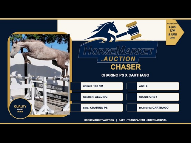 Chaser