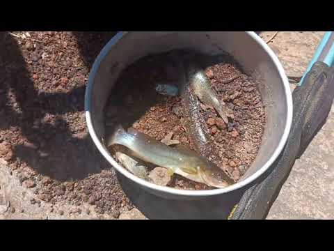 CACHOEIRA GRANDE EM SANTA RITA DA JACUTINGA MG