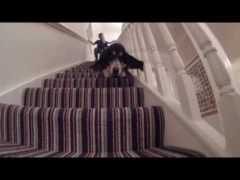 Off to see The Greefs