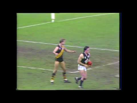 1985 Round 19 - Carlton vs Richmond at the MCG - Carlton Highlights
