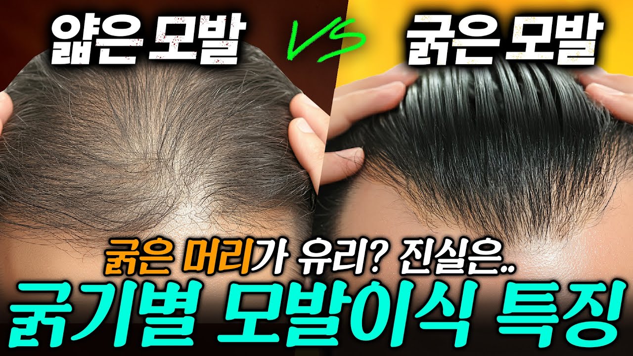 더원츠의원 유튜브