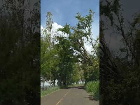 Apucarana - Rio Bom - Pr Alguém já passou por esta estrada?