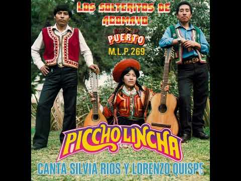 Picchulincha - Sílvia Ríos M. - Solteritos de Acomayo.