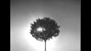 Johnny Howard -- Dark Night Blues