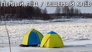 Рыбалка с братьями приходько 2019 год